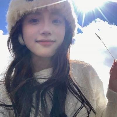 狗的生涯